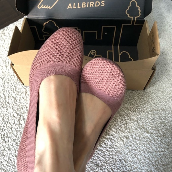 allbirds Shoes - ALLBIRDS Women's Tree Breezers flats